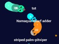 Jeu Curvz. io  en ligne