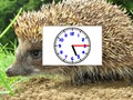 Jeu Horloges Pics Puzzle  en ligne