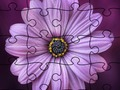 Jeu Puzzle Jigsaw Summer  en ligne