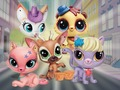 Jeu Little Pet Shop : cache-cache  en ligne