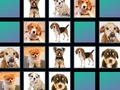 Jeu Mémoire animale  en ligne