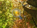 Jeu Étoiles d'or cachées  en ligne