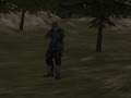 Jeu Agence FPS: Forest  en ligne