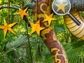 Jeu Étoiles cachées de la jungle en ligne