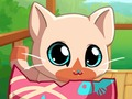Jeu Mon chat de poche en ligne