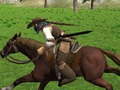 Jeu Simulateur d'équitation  en ligne