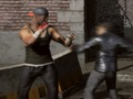 Jeu Punch Raging 3D en ligne