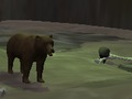 Jeu Ours  en ligne