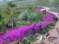 Jeu Sentier de disparition  en ligne