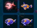 Jeu Cartes de poisson  en ligne