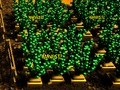 Jeu Ferme de pixels en ligne