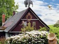 Jeu Hidjigs printemps en ligne