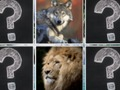 Jeu Match de mémoire Animaux de la jungle  en ligne