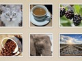 Jeu Diapositive d'image  en ligne