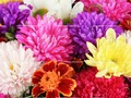 Jeu Puzzle de la fête des mères 2019  en ligne