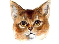 Jeu Défi Abyssinien  en ligne