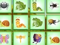 Jeu Trouver l'insecte  en ligne