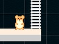 Jeu Temps de hamster intelligent  en ligne