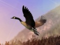 Jeu Chasseur de canard  en ligne