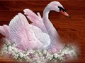 Jeu Puzzle oiseaux d'amour  en ligne