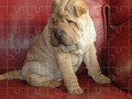 Jeu Puzzles classiques  en ligne