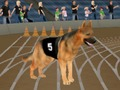 Jeu Fiède de course de chiens folles en ligne