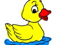 Jeu Retour à l'école: livre de coloriage de canards  en ligne
