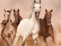 Jeu Puzzle Chevaux  en ligne