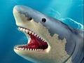 Jeu Chasse au requin  en ligne