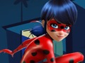 Jeu Puzzle de coccinelle  en ligne