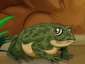 Jeu Grenouilles assorties  en ligne