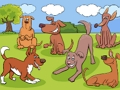 Jeu Différences avec les animaux  en ligne