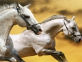 Jeu Clissure de cheval en cours d'exécution en ligne