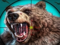 Jeu Chasse à l'ours sauvage  en ligne
