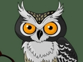 Jeu Mémoire de hibou mignon  en ligne