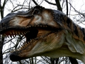 Jeu Puzzle de dinosaure T-Rex  en ligne