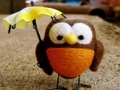 Jeu Puzzle de hibou mignon  en ligne
