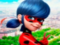 Jeu Collection de casse-tête LadyBug  en ligne