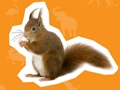 Jeu Maison des animaux  en ligne