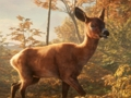 Jeu Safari Jeep Car Parking Sim: aventure dans la jungle  en ligne