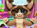 Jeu Bain de chaton  en ligne