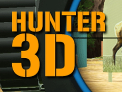 Jeu Chasseur 3D  en ligne