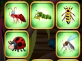 Jeu Match de heurt d'insectes  en ligne