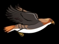 Jeu Oiseau volant  en ligne