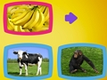 Jeu Que mangent les animaux?  en ligne