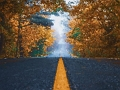 Jeu Puzzle Arbres d'Automne  en ligne