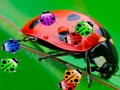 Jeu Coccinelle Match3  en ligne
