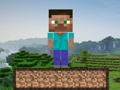 Jeu Survie Minecraft  en ligne
