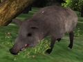 Jeu Puzzle de chasse au sanglier  en ligne