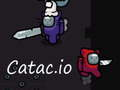 Jeu Catac. io  en ligne